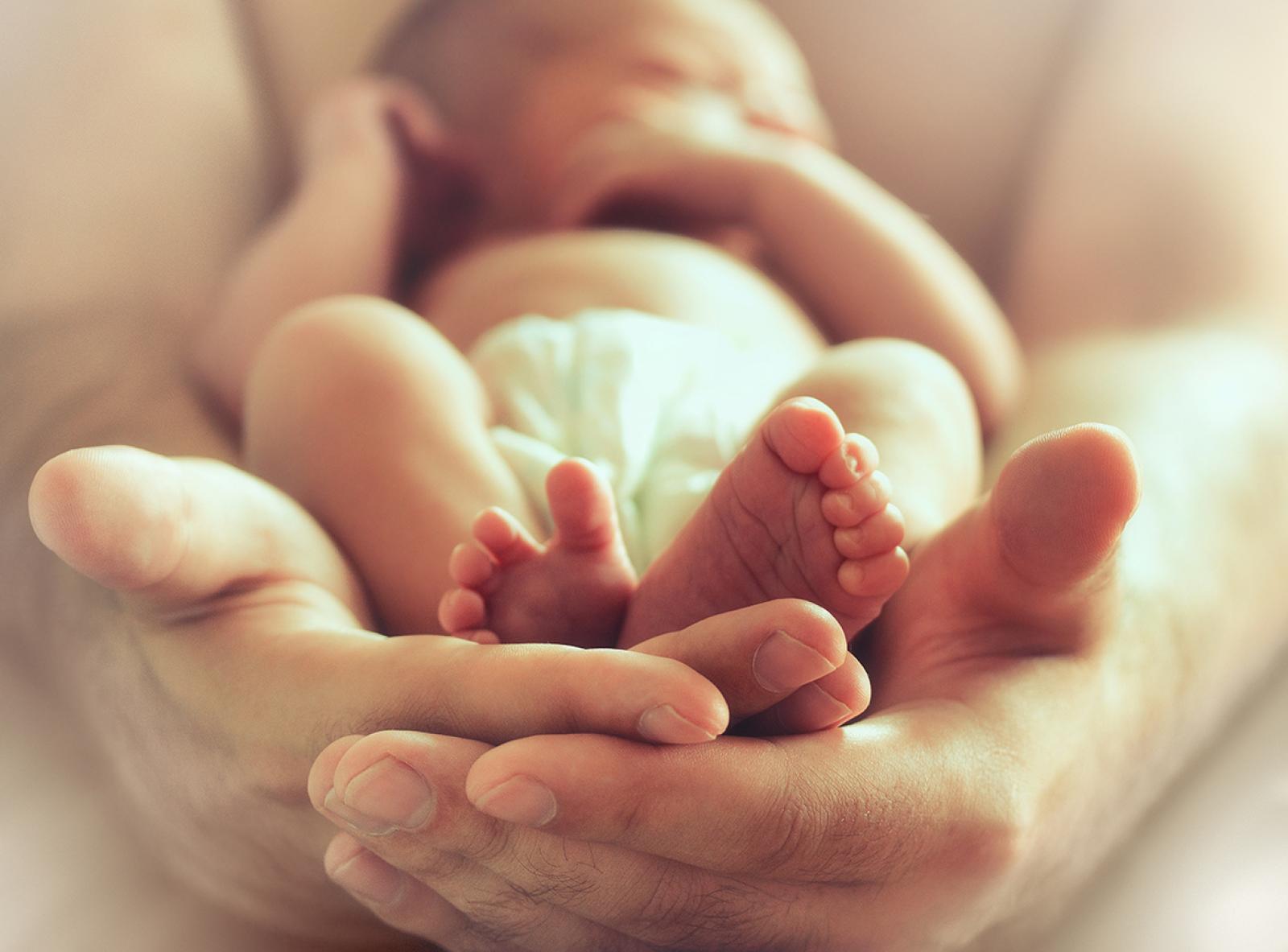 Newborn baby resting in adult hands, highlighting gentle infant care and support