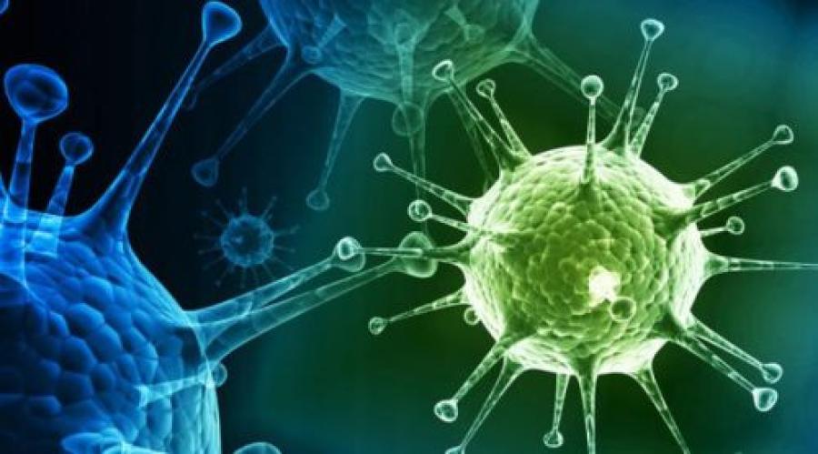 Illustration of virus particles in blue and green under magnification