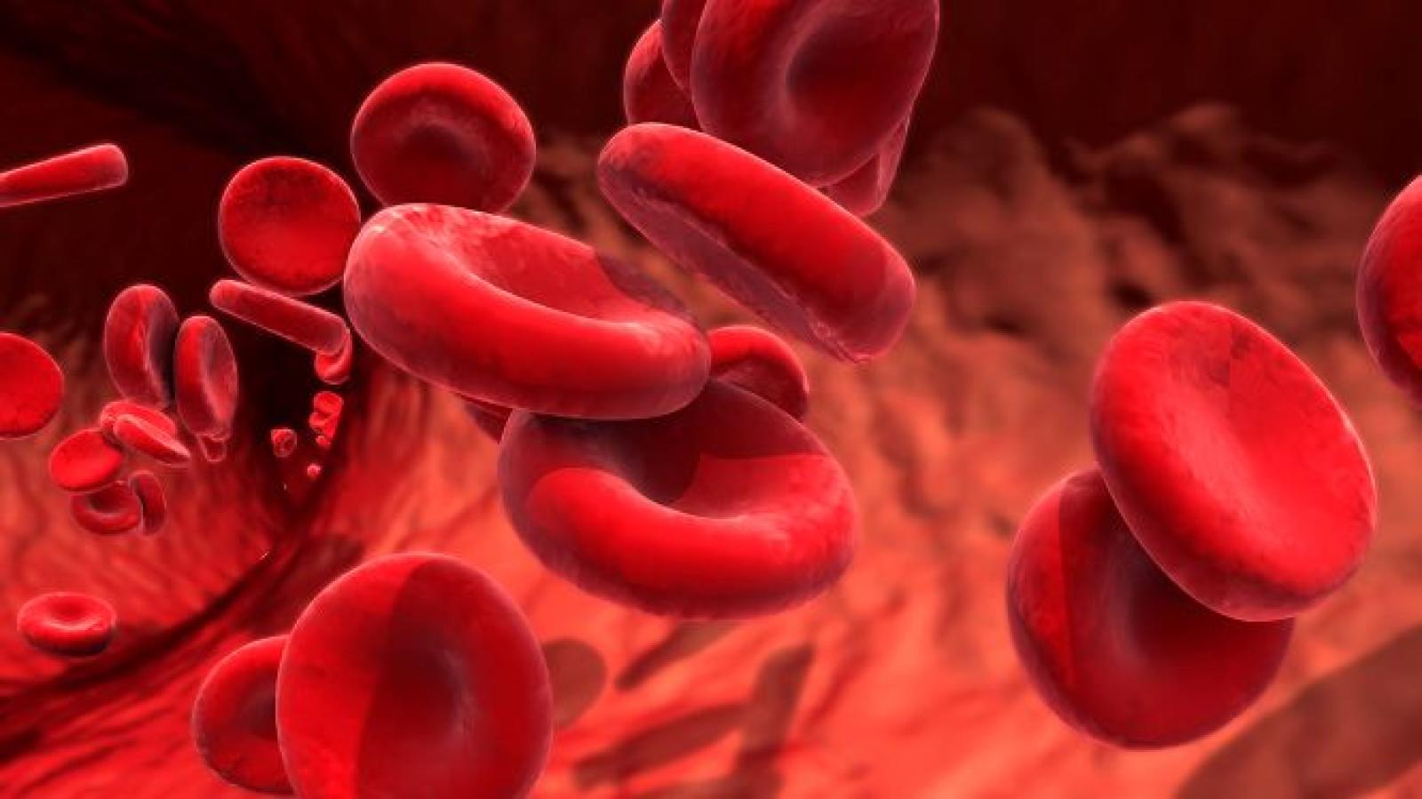 Illustration of red blood cells flowing through a blood vessel