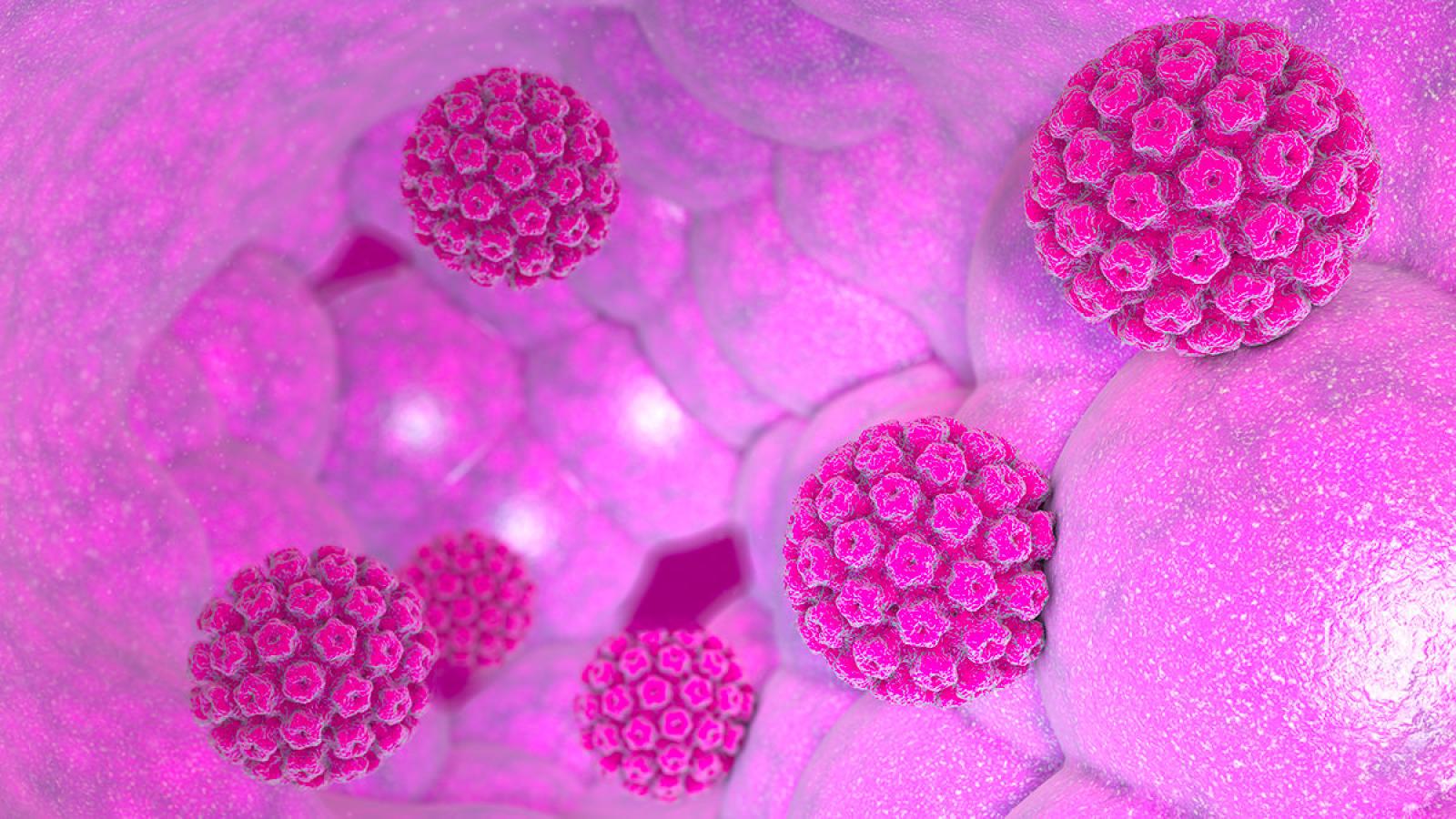 Illustration of virus particles in pink tones against a microscopic cellular background