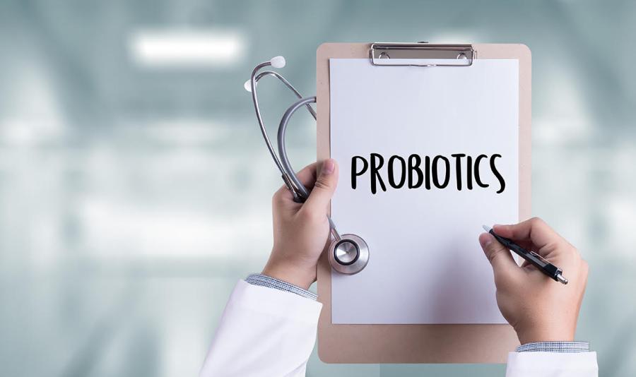 Doctor holding clipboard labelled probiotics in a medical clinic setting